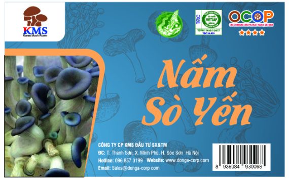 Nấm Sò Yến KMS