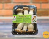 Nấm đùi gà Baby KMS