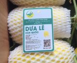 Dưa lê Hàn Quốc (sản phẩm xã Hiệp Hòa)