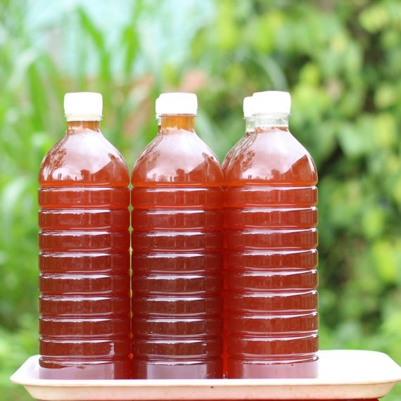 Mật ong Ý hoa nhãn - Hình ảnh 3