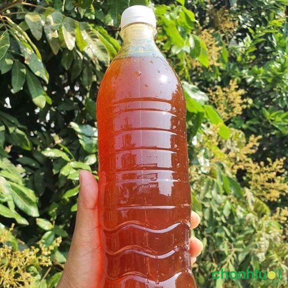 Mật ong Ý hoa nhãn - Hình ảnh 2