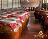 RƯỢU ĐINH LĂNG VƯƠNG TỬU