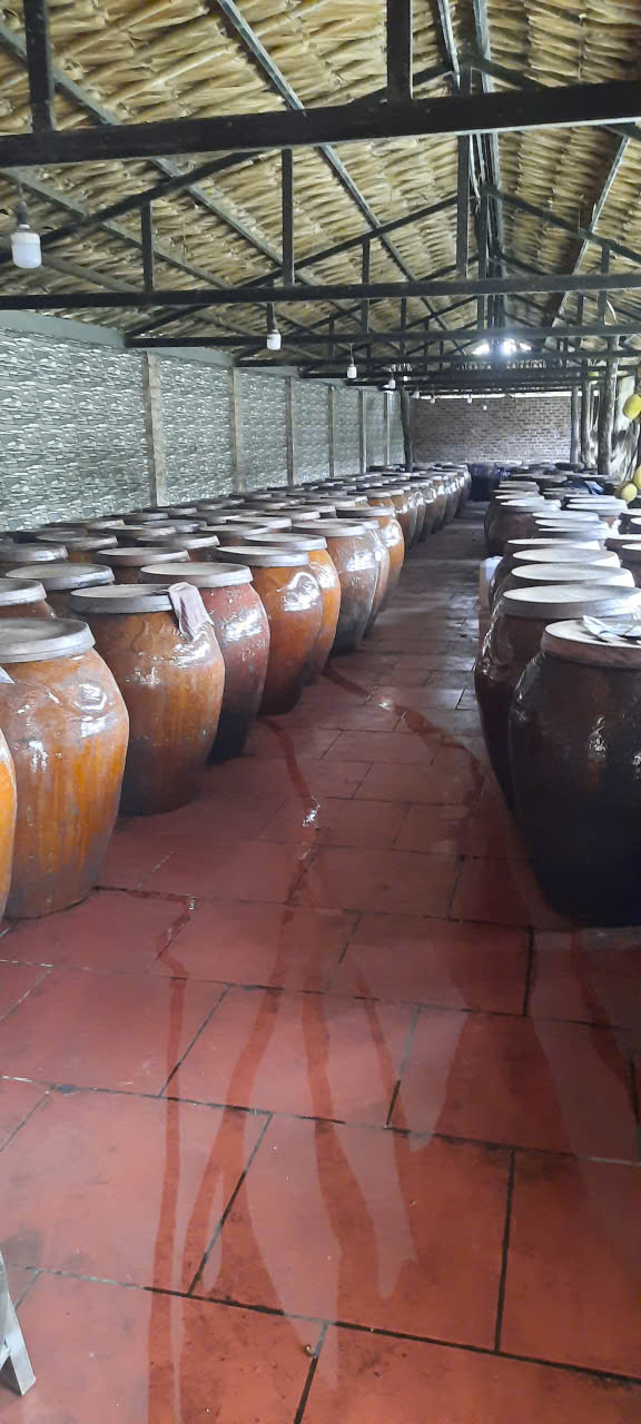 Rượu Táo mèo Vương tửu (sản phẩm của xã Hiệp Hòa) - Hình ảnh 4